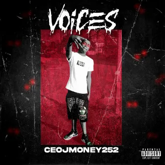 Voices by Ceojmoney252