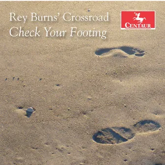 Check Your Footing by Reynard Burns