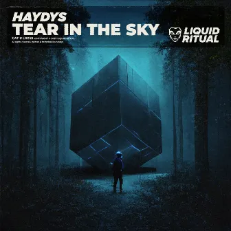 Tear In The Sky by haydys