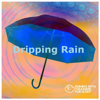 Dripping Rain by Raining with Thunders for Sleep