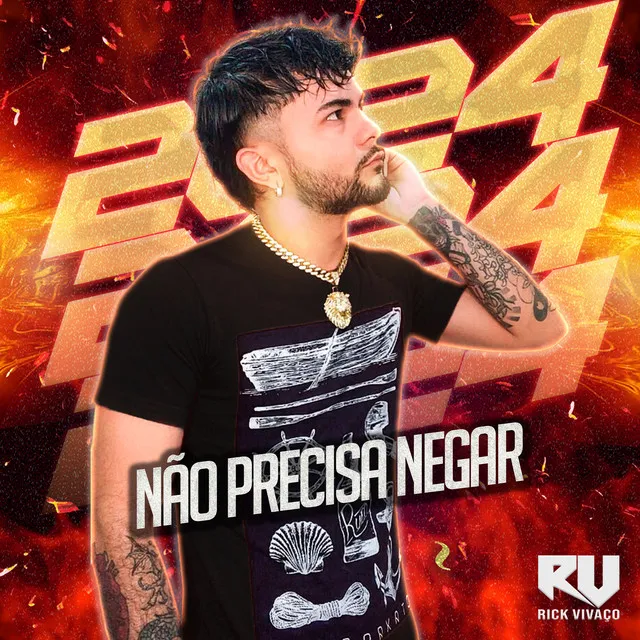 Não Precisa Negar