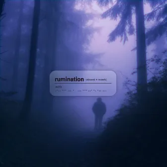 rumination (slowed + reverb) by widx.