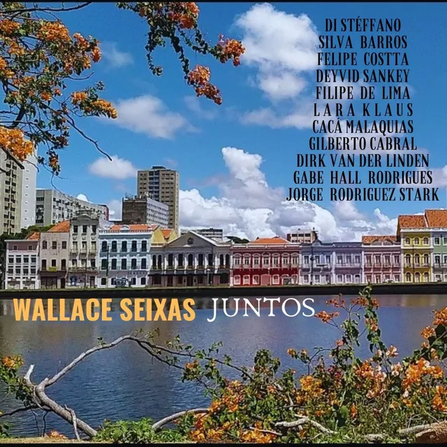 Recife Minha Cidade