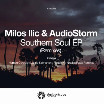 Southern Soul (Remixes) by Milos Ilic