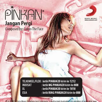 Jangan Pergi by Pinkan Mambo