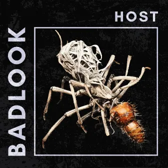 Host by Badlook