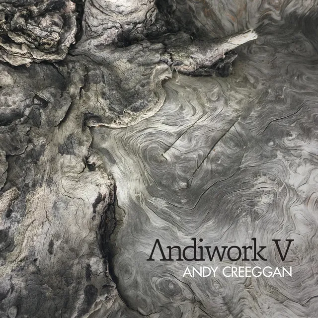 Andiwork V