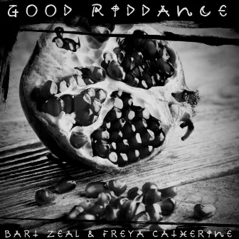 Good Riddance by Bart Zeal