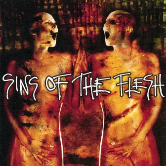 The Death Of The Flesh by Sins Of The Flesh