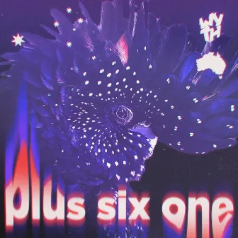 plus six one by Wyth