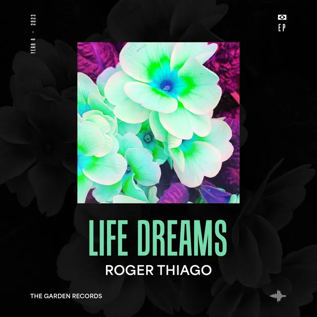 Life Dreams - Radio Mix