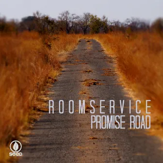 Promise Road by Room Service