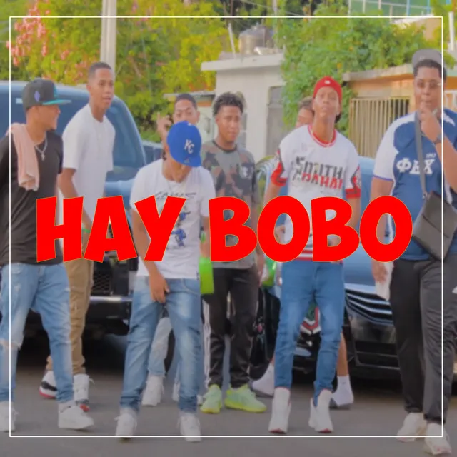 HAY BOBO