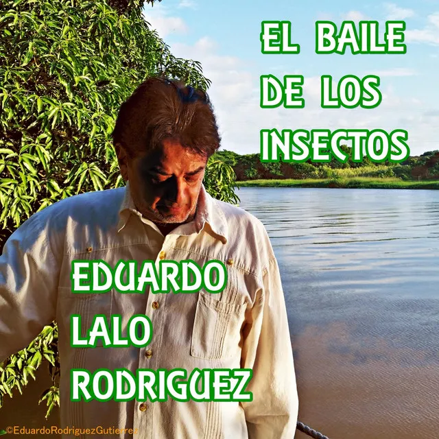 El Baile de los Insectos