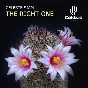 The Right One by Celeste Siam