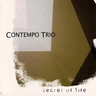 Secret Of Life by Contempo Trio