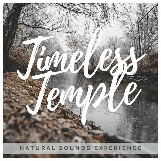 Natural Sounds Experience