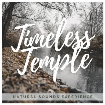 Timeless Temple by Sounds of Gaia