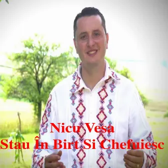 Stau În Birt Si Chefuiesc by Nicu Vesa