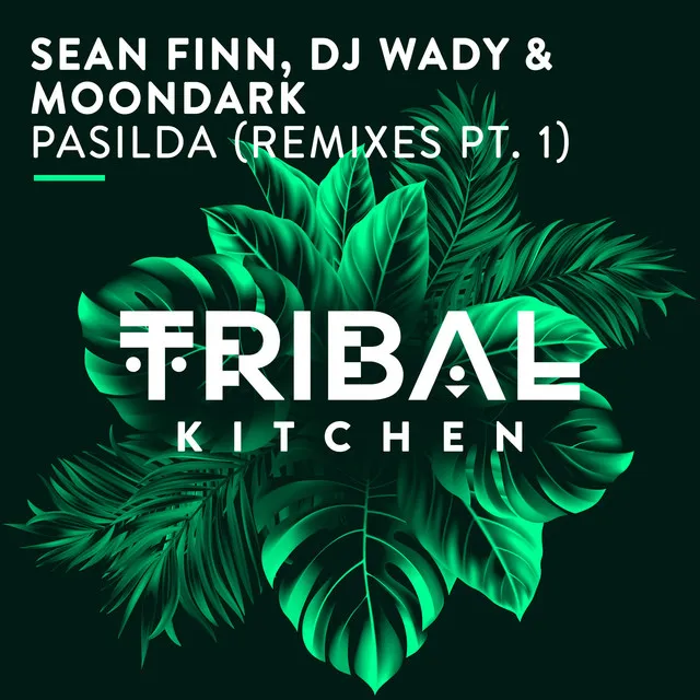 Pasilda - Sean Finn Sundown Radio Edit