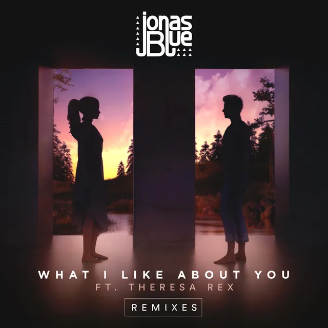 What I Like About You - Syn Cole Remix