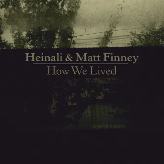 How We Lived by Matt Finney