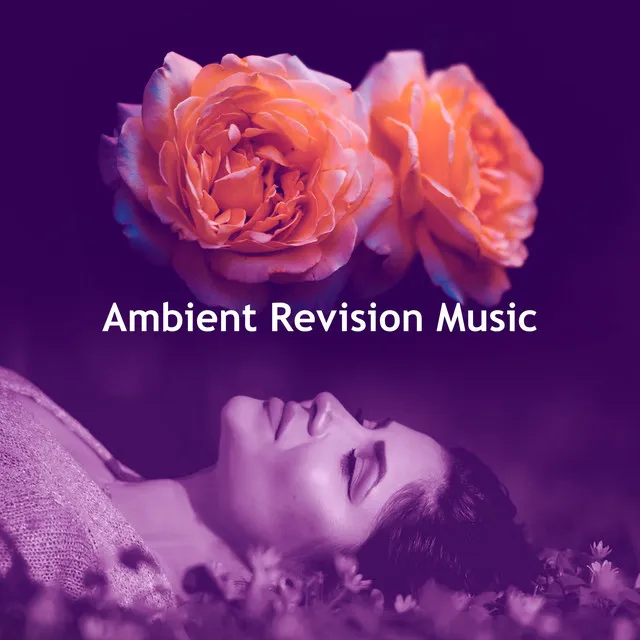 Ambient Revision Music