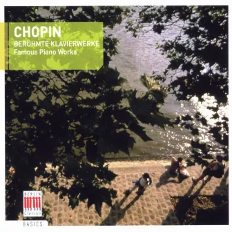 Chopin: Famous Piano Works by Andreas Pistorius