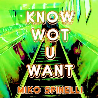 Know Wot U Want by Unknown Artist