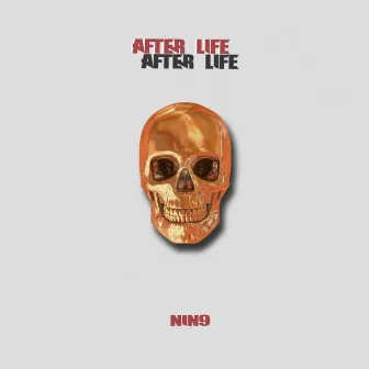 After Life by NIN9