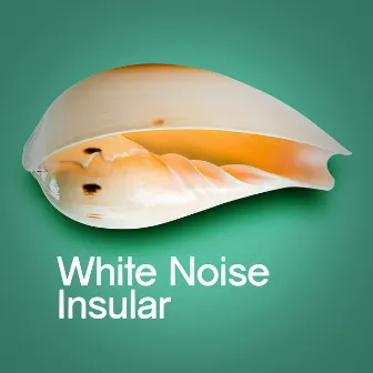 White Noise: Insular by White Noise Babies