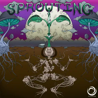 Sprouting by Cavern