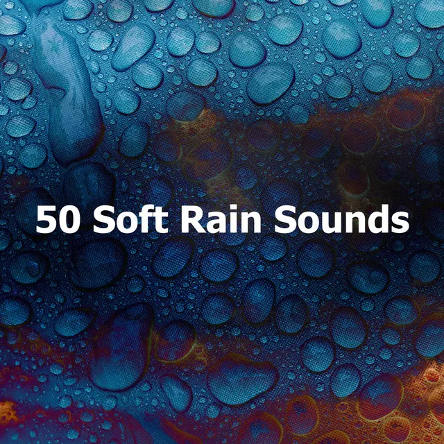 50 Soft Rain Sounds