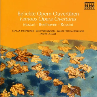 Famous Opera Overtures by Pinchas Steinberg