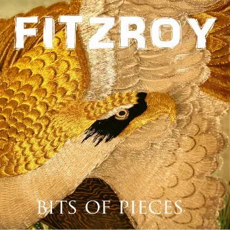 Bits of Pieces by Fitzroy