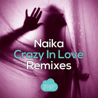 Crazy In Love (Remixes) by Naika