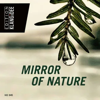 Mirror Of Nature by Darren Campbell Jenkins