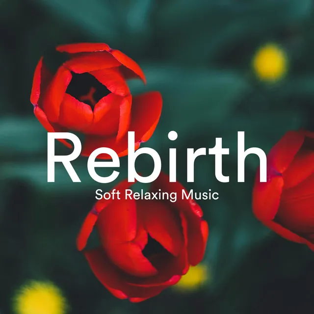 Rebirth: Soft Relaxing Music