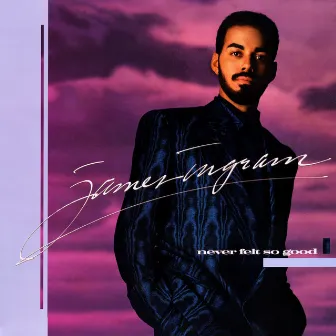 Never Felt So Good by James Ingram