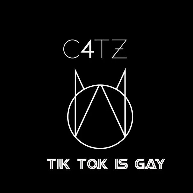 Tik Tok is gay