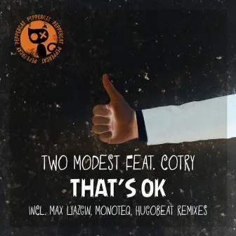 That's Ok, Pt. 2 Remixes by Cotry