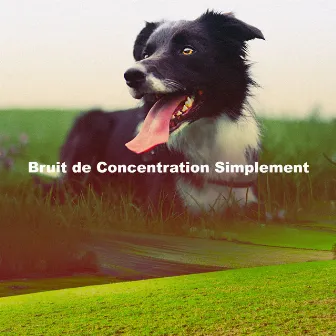 Bruit de Concentration Simplement by Concentration D'ondes Alpha