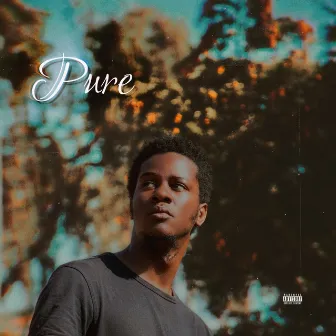 Pure by Chicor