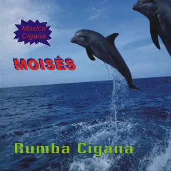 Rumba Cigana - Música Cigana by Moises