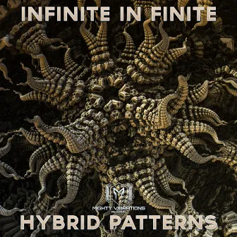 Hybrid Patterns by Infinite In Finite