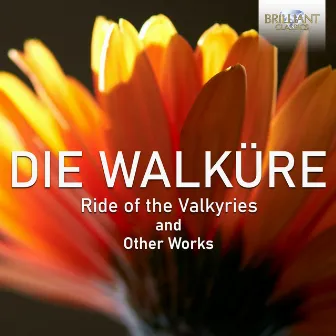 Ride of the Valkyries and Other Works by Gewandhausorchester