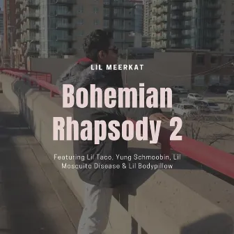 Bohemian Rhapsody 2 by Lil Meerkat