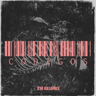 Codigos by 314 Killaface