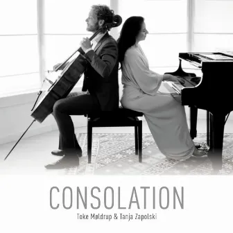 Consolation by Tanja Zapolski