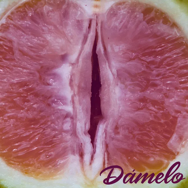 Dámelo